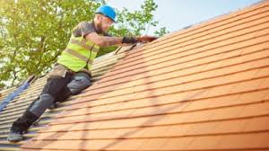 Professional Roofing Service in Chapel Hill, TN