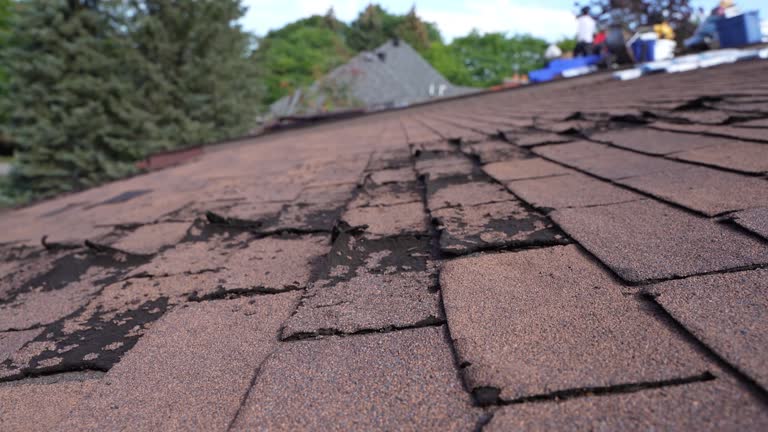 Best Gutter Installation and Repair  in Chapel Hill, TN