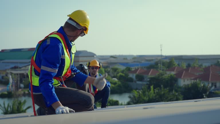 Best Roof Insulation Installation  in Chapel Hill, TN