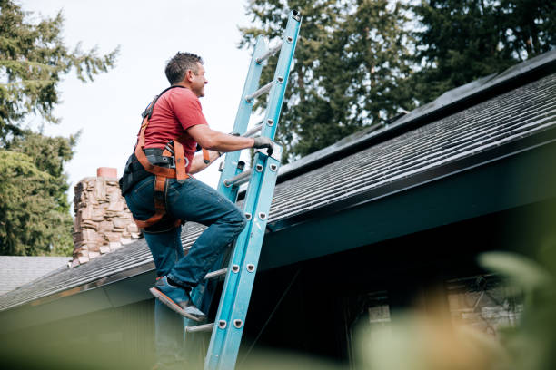  Chapel Hill, TN Roofing Service Pros