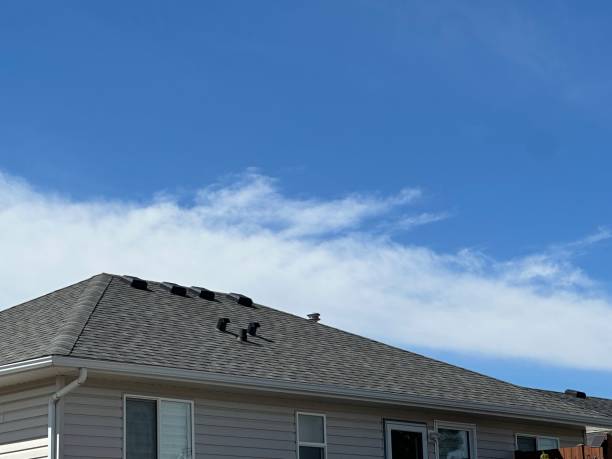 Best Wood Shake Roofing  in Chapel Hill, TN